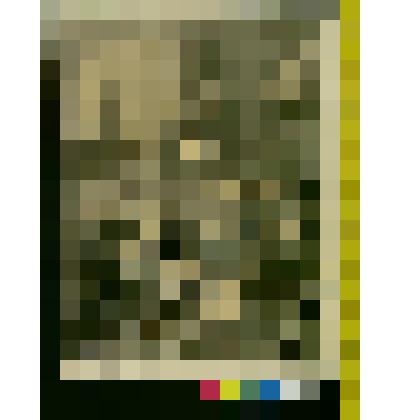 Николенька и Наталья Савишна