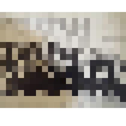 Фотография групповая ч/б. Встреча учащихся в ветеранами ВОВ