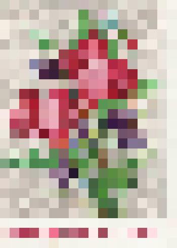 Открытка поздравительная