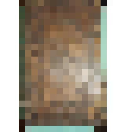 Книга [Новый Завет. М.: Синодальная тип., 1766]