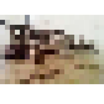 Столовая ОРСа  в Борзе