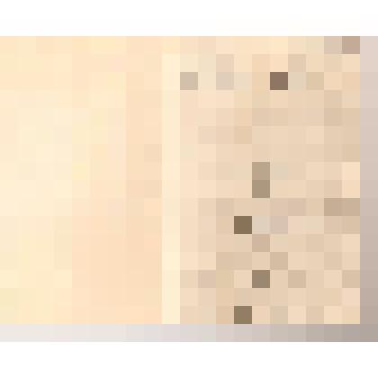 Ксерокопия книги "Joy of Art" из собрания П.Ф. Беликова