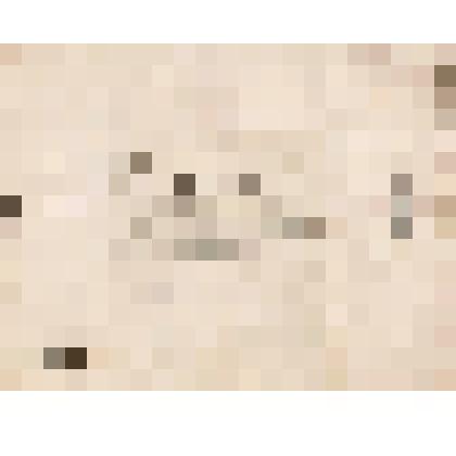 Телеграмма № 4425 в г. Чердынь В. Н.Алину от Петра Алина из г. Ирбита, 10.02.1886 г