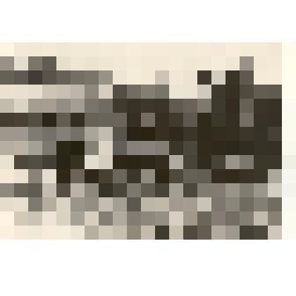 Фотография: мехпогрузка зерна с тока в хозяйствах Каменского территориального колхозно-совхозного управления на автомашину