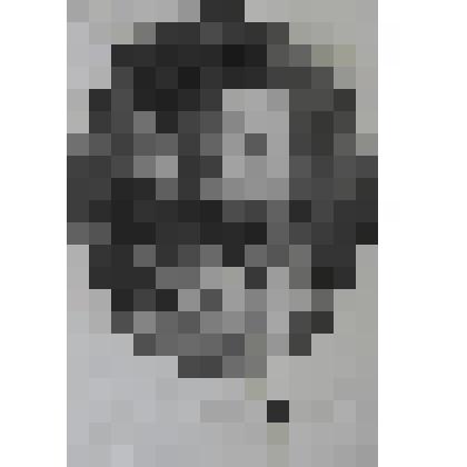 Портрет Гейлера