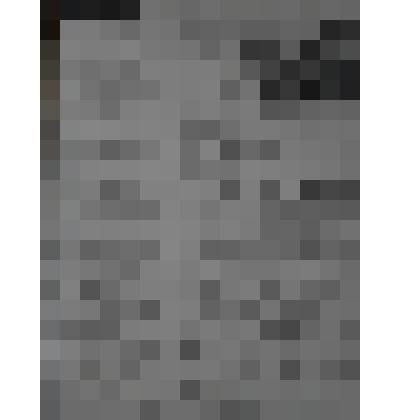 Газета "Адлерская правда"
№113 (3385) от 20.09.1961 г