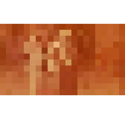 Фотография Л. Чурсина