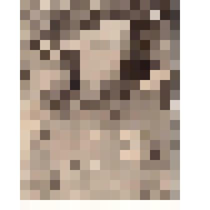 Фотография. Золин Георгий Ефимович, 1904 года рождения, уроженец с. Обшаровка Безенчукского района  Оренбургской области, председатель колхоза в станице Выселки на Кубани с 1942г. по 1946г. Награжден медалями "За оборону Кавказа", "За доблестный труд в Ве