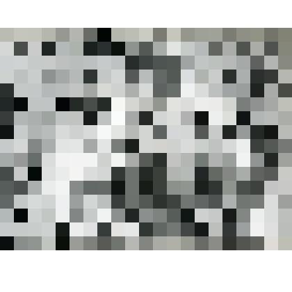 Фото ч/б. Западный фронт. Комиссар 1073  гв. стр. полка П.В.Логвиненко. 1 января 1942 г