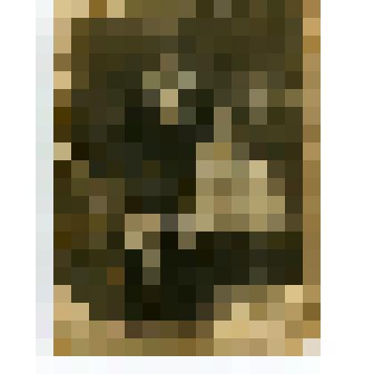 Фотография. Е. Карасева, крестьянка села Коломенского