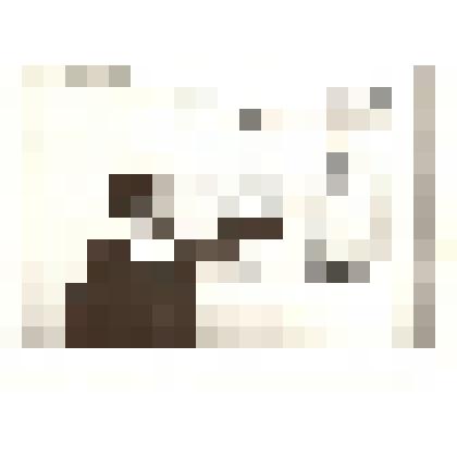 Фотография: Иванов Н., инструктор крайкома ВЛКСМ, о важности строительства БАМа