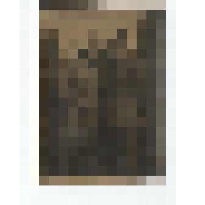 Фото/чб. Майор Костин И.С., зам. нач-ка по политчасти армейского полевого госпиталя 5264 (справа) с сослужвцем в дни победы в ВОВ. Германия. 1945