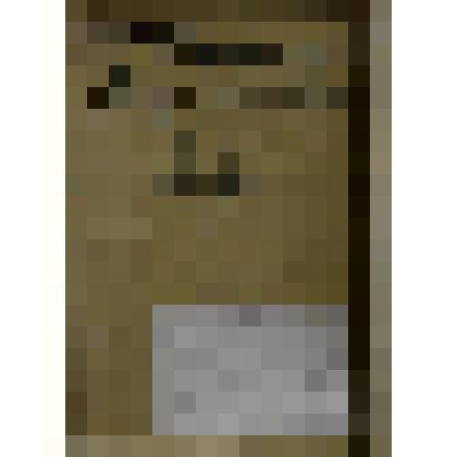 «В летнем саду». Картина