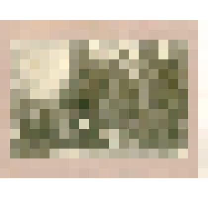 Фотография. У орудия в лесу. Гражданская война