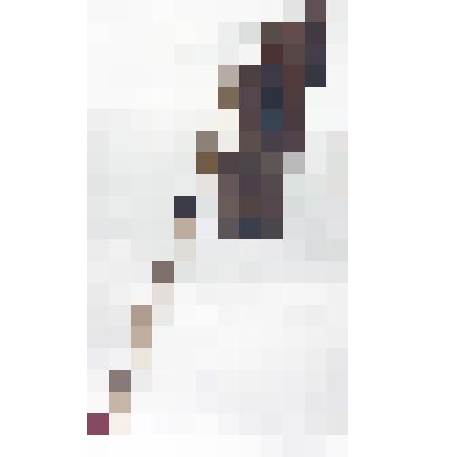 Секач (топор)