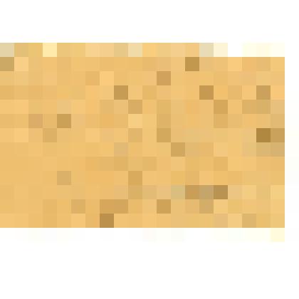 Удостоверение №1107 в том, что т. Рычков Иосиф Николаевич есть служащий Отдела Народного Образования, главный мастер переплетной мастерской при центральной библиотеке