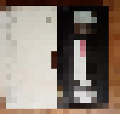 Видеокассета с фильмом "Встреча партизан в п. Дубровка 16 -17 сентября 2003 г."