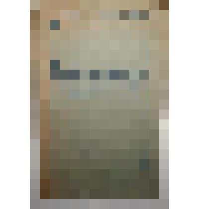 Книга. Разведение и селекция молочного скота. Типография им. Володарского