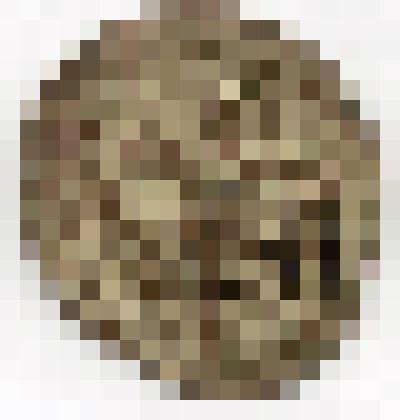 Монета. Российская империя