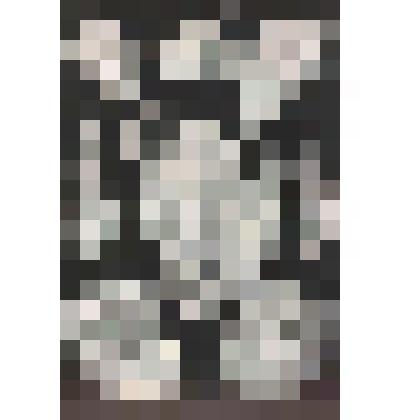 Иллюстрация. Таблица № 53. Выпуск "11-13".
  Из комплекта таблиц "Красота форм в природе"