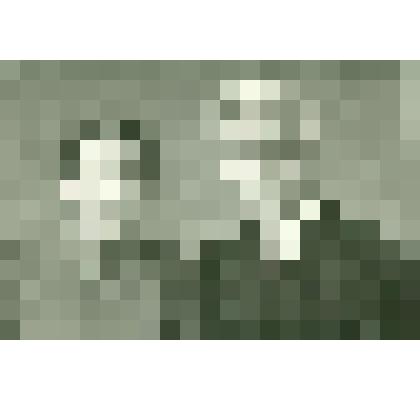 Фотографии. Фото. Абдин Н.С. с супругой Абдиной Н.П