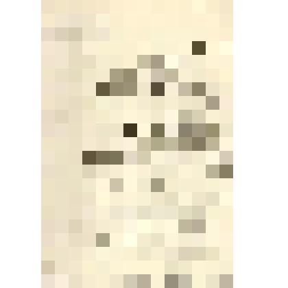 Документ. Письмо Начальника Главного Склада почтовых, телеграфных и телефонных материалов Гинса М. о выдаче аппаратов для военных нужд