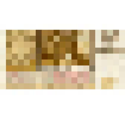 Билет денежно-вещевой лотереи