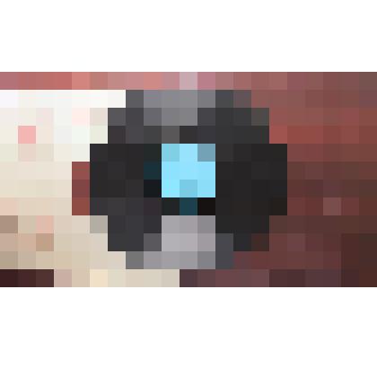 Грампластинка