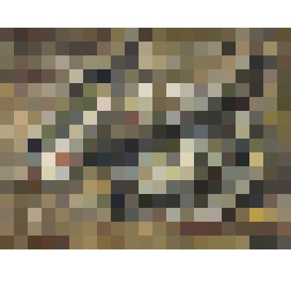 Натюрморт с рыбой