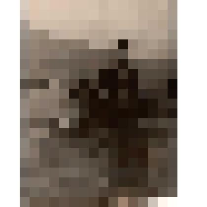 Фотография Куценко Николай Александрович - участник Великой Отечественной войны 1941-1945 гг