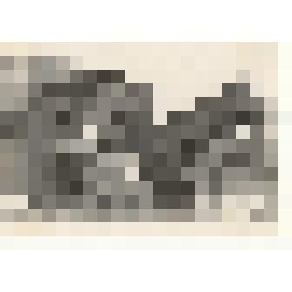 Фотография: измельчитель кормов на Чапаевском отделении совхоза "Октябрь" Каменского района Алтайского края