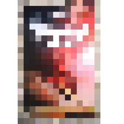 Книга. "Прерванный полет"