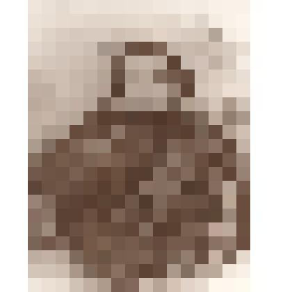 Фотокопия. Н.В.Гоголь