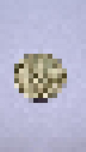 Монета достоинством 10 копеек, 1981 года выпуска