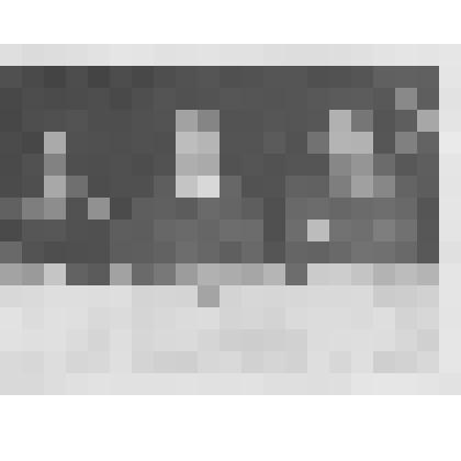 Фотография ч/б. Губарев А.А. с супругой на приеме