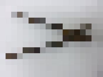 Щипцы-кусаки