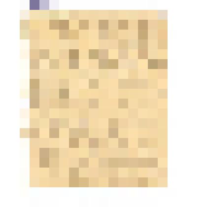 Документ. Письмо с фронта Пантелеева Н.Н. родителям. 12.10.1942