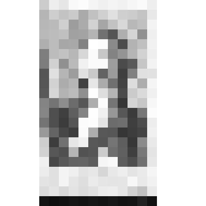 Портрет Петра I. Репродукция