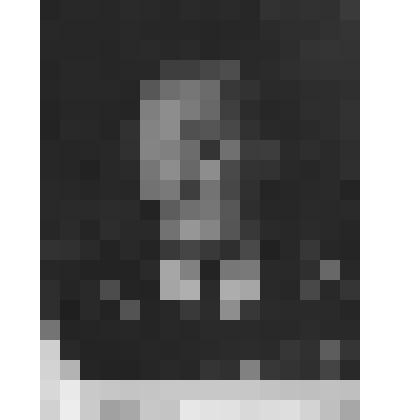 Фотография. Артист Мосин-Новосельский Михаил Сергеевич