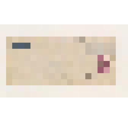 Д.Р. Рерих. Конверт