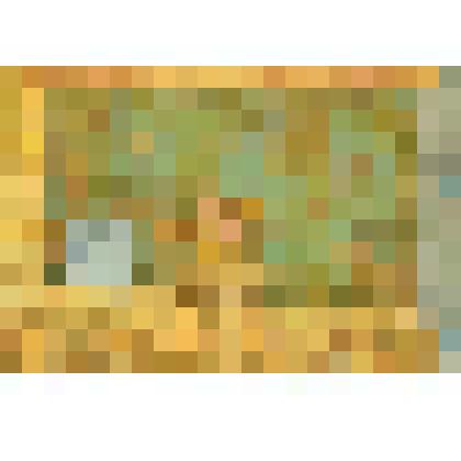 Слепой чудак