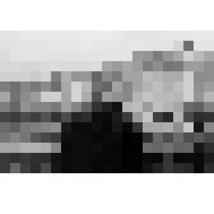 Фото цв. Художник Андрей Маркин в Санкт-Петербурге