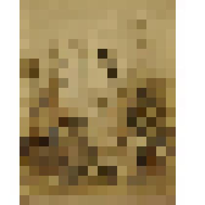 «Ульянка» (лист из альбома). 1972-74 гг