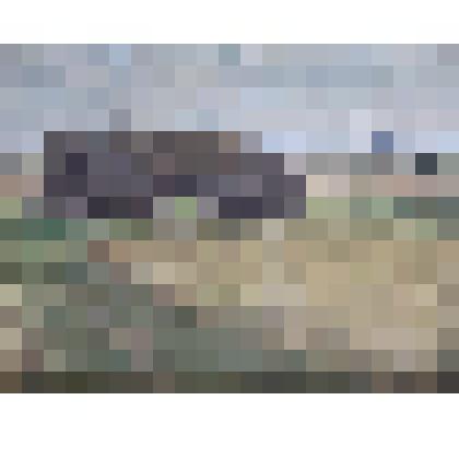 В поле. Этюд