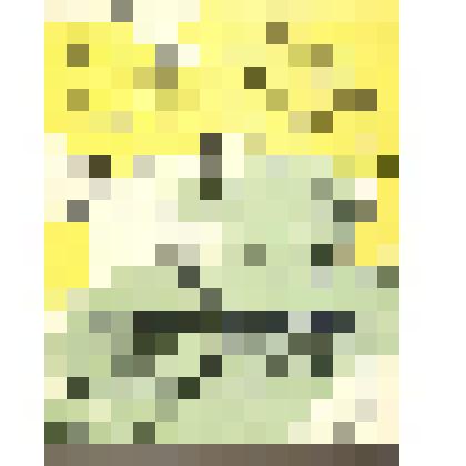 Книга. Квакша.  / Худ. В. Гальдяев, А. Финогенов. - Москва: Малыш, 1964