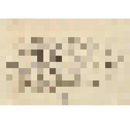 Фрагмент орнамента