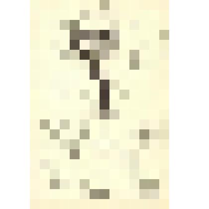 "Записки сумасшедшего". Станковая графика