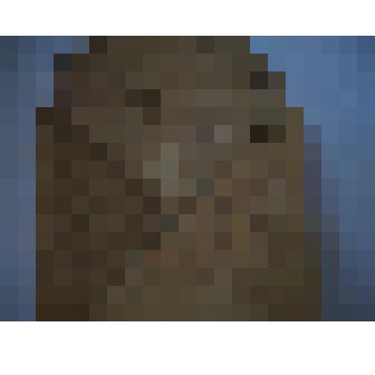 Письмо с фронта Гончалова П.А. родителям