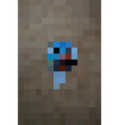 Значок «День журавля» круглой формы