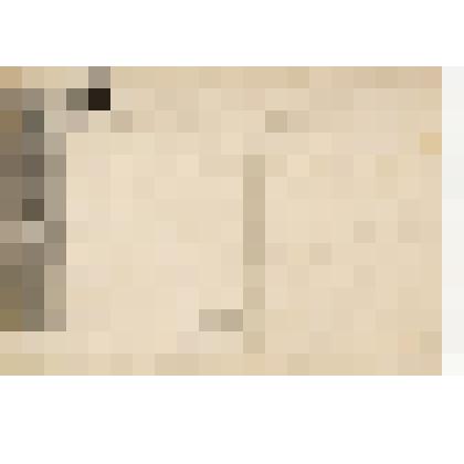 ОТКРЫТОЕ ПИСЬМО. Степановъ. Лоси